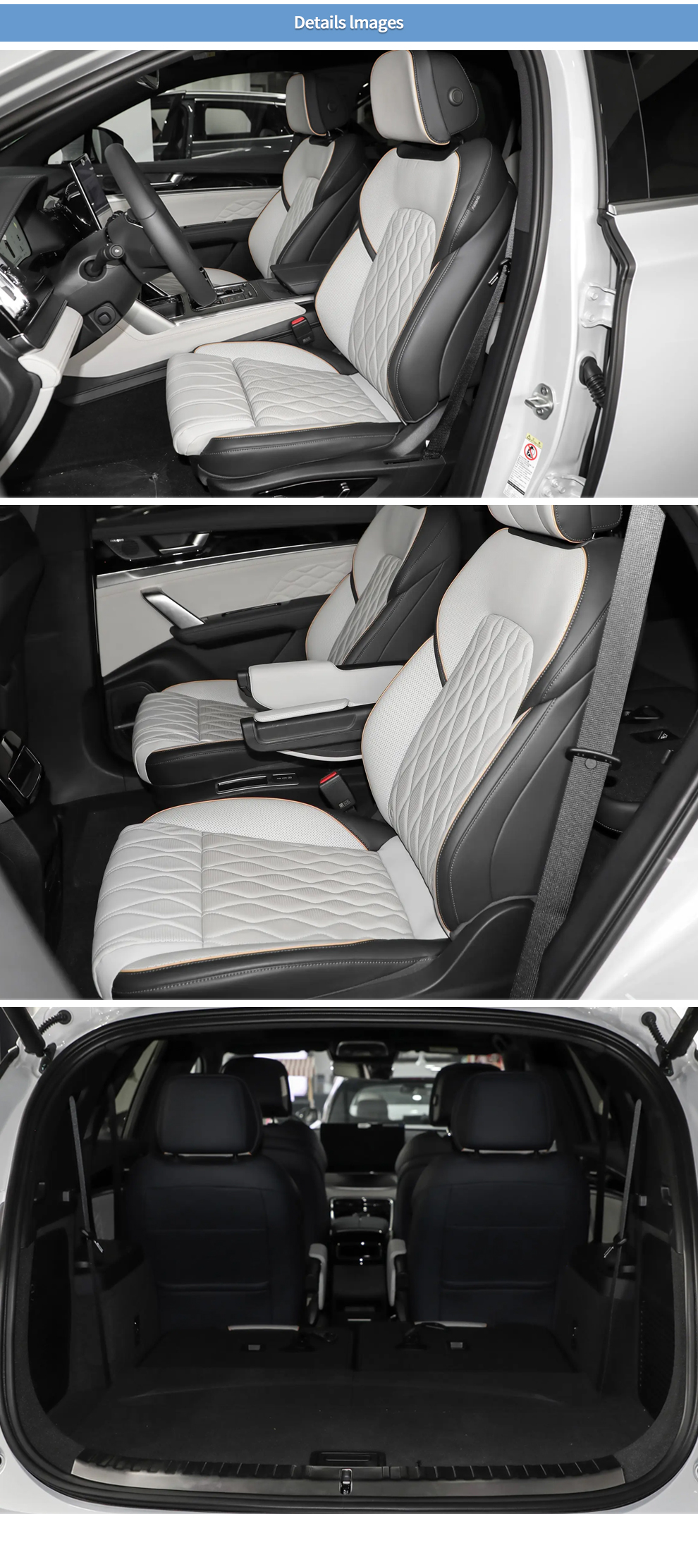 BYD TANG AUTO INTERIOR